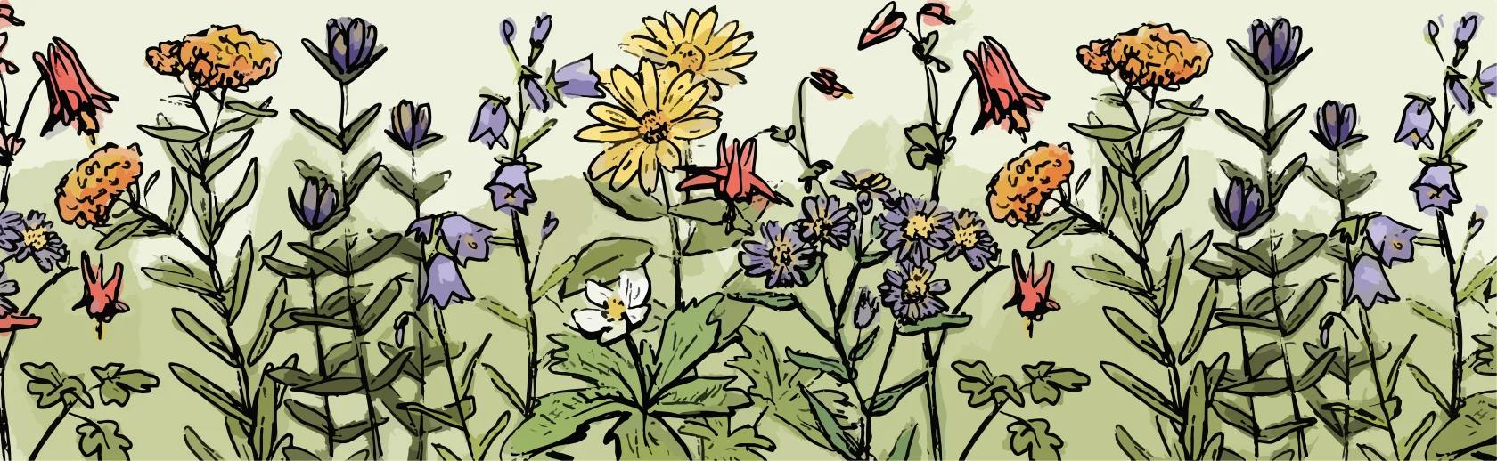Beautiful artwork of native flowers and insects